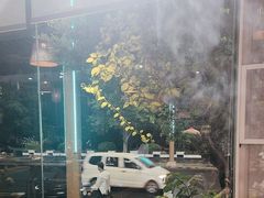 -野菌皇海景野生菌火锅(滨海大道店)