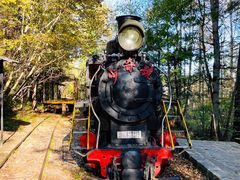 -五营红松林海景区