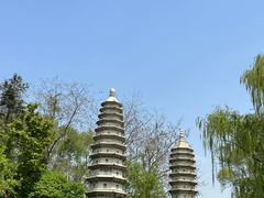 -沈阳植物园