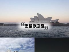 -悉尼歌剧院