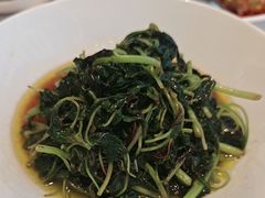 -松鹤楼(狮山永利广场店)