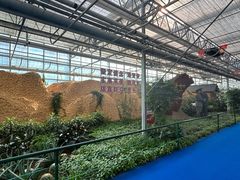 -兰陵国家农业公园