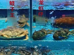 -景笙毋米粥底火锅(20年老字号)