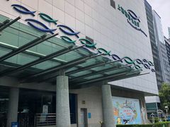 -上海海洋水族馆