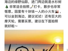 -巧克力渔家.小船海鲜胶东菜(三浴场店)