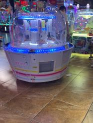 -卡通尼·Safari非洲探索乐园·生日会(金桥国际商业广场店)