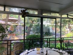 -蘇河湾·新鲁菜·泰山宴(泰山店)