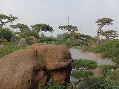 -罗红摄影艺术馆