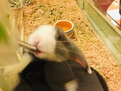 -龙猫仔乐园(惠福东路店)