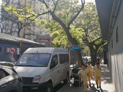 -北京第二实验小学