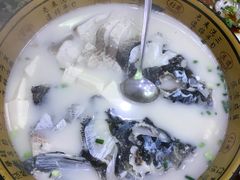 -全乐鱼馆·淳牌有机鱼直营店
