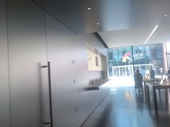 -Apple零售店(中街大悦城店)