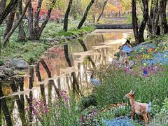 -上海共青森林公园