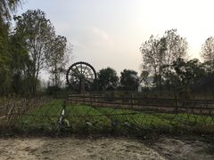 -溱湖国家湿地公园