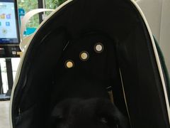 -美联众合动物医院·24h转诊中心