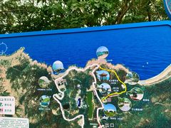 -广东惠东海龟国家级自然保护区