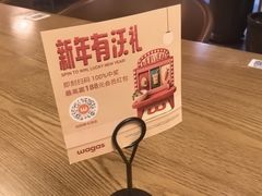 -Wagas沃歌斯(枫蓝国际店)