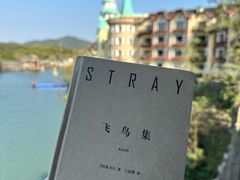 -深圳东部华侨城茵特拉根酒店