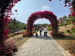 -东莞植物园
