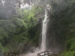 -莫里热带雨林景区