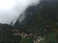 -牛背梁国家森林公园