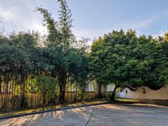 -广州神农草堂中医药博物馆