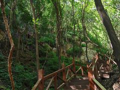 -大岭沟猕猴桃谷风景区