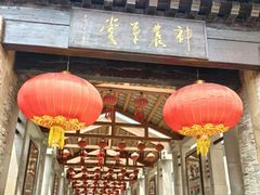 -广州神农草堂中医药博物馆