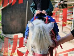 -李小龙乐园(顺德均安店)