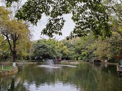 -望江楼公园