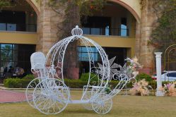 -帝元维多利亚大酒店·宴会厅