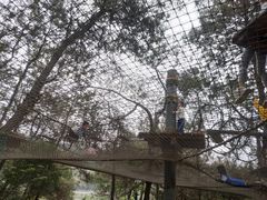 -芦仙山景区-飞越丛林探险乐园