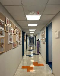 -杭州贝瑞斯美华妇儿医院·早孕·产检·儿科