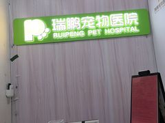 -瑞鹏宠物医院·微创内窥镜·骨外科·牙科(翠竹分院)