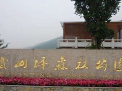 -铁山坪森林公园