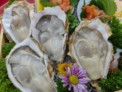 -冰之海挪威三文鱼(海珠店)