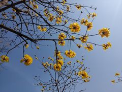 -中国移动南方基地