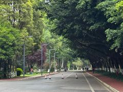 -四川大学(望江校区)