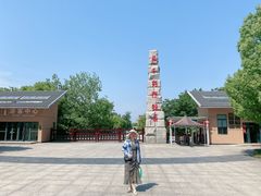 -中国扬子鳄村