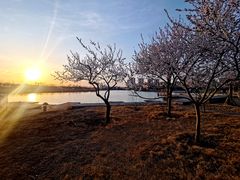 -天津东丽湖风景区