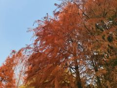 -春雪面馆(转塘店)