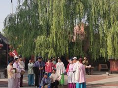 -大槐树寻根祭祖园