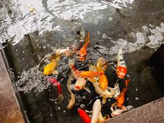 -天津海河悦榕庄·Lobby Lounge大堂吧