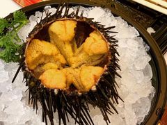 海膽-上清·三文鱼鲜寿司(同德店)