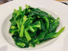 有机高山豆苗-蟹黄鱼面·锦园(定西路店)