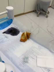 -杭州奥拉克医疗美容门诊部