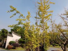 -棠樾牌坊群鲍家花园景区