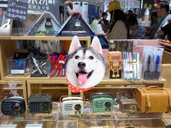 -九木杂物社(恒隆广场店)