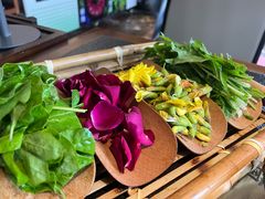 -菌自由丨野生菌火锅特色庭院餐厅(丽江古城店)
