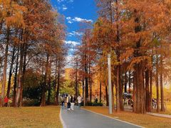 -四海公园(南山区)